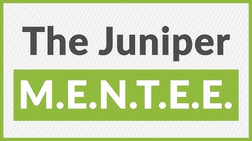 The Juniper M.E.N.T.E.E: Empowering New Engineers