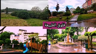 فلوق في الطبيعةvlog in nature - منظر طبيعي جميل  - أجمل المناظر الطبيعية في تركيا اسطنبول