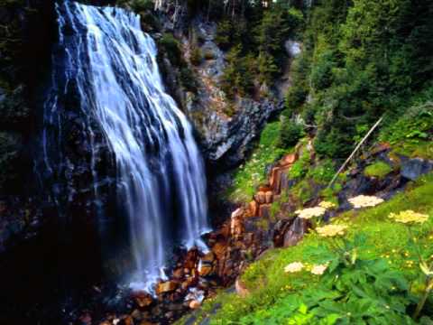 Vidéo: Les Plus Belles Cascades Du Costa Rica