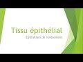 Histologie - Tissu épithélial ( Partie 1 )