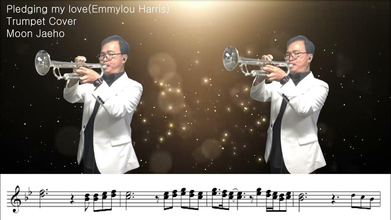 Pledging my love(Emmylou Harris)Trumpet Cover Moon Jaeho Pledging my love(Emmylou Harris)Trumpet Cover Moon Jaeho