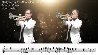 Pledging my love(Emmylou Harris)Trumpet Cover Moon Jaeho