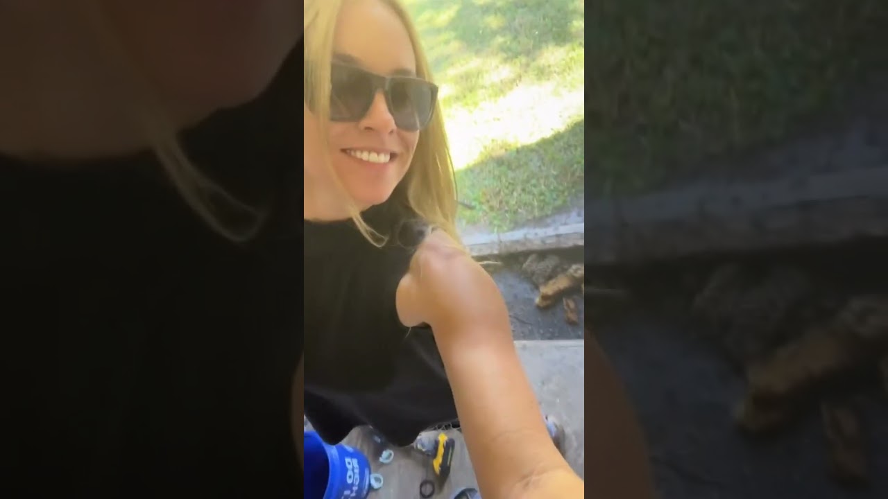 Coolest bee removal ever 🐝