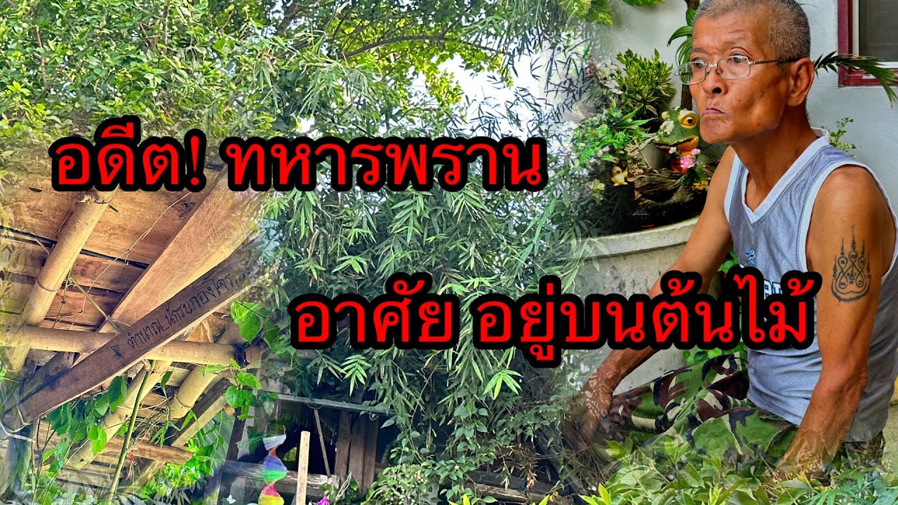อดีตนักรบ ใช้ชีวิตอยู่บนต้นไม้ ( อดีต ทพ.พล ติณะคัด ) ตอนที่ 1