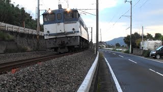 JR貨物 EF65-2095 青プレ 大王製紙に向けて疾走!11月11日!