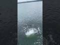 #cliffjumping #funny #beach #trending #viral #usa🇱🇷 travel 🧳