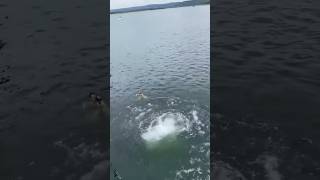 #cliffjumping #funny #beach #trending #viral #usa🇱🇷 travel 🧳
