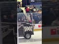 Zambonis!!!!