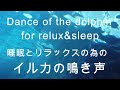 深い睡眠とリラックス イルカの鳴き声・Dance of the dolphin for relux&amp;sleep