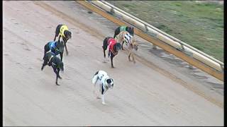 BEN WED 21 JUN 17 R6