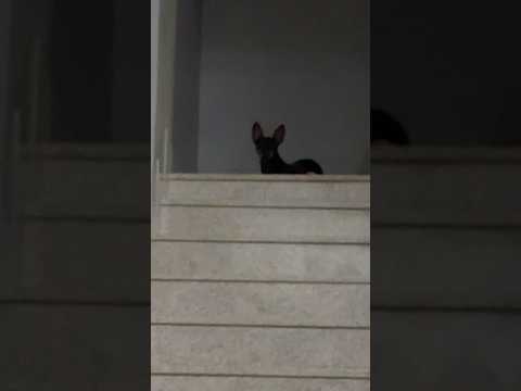 19 de março de 2026