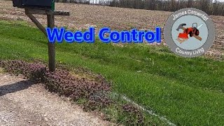 Weed Control