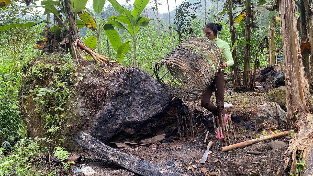 A Girl Building a Farm Alone in the Deep Forest - YouTube