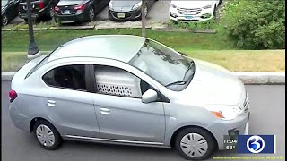 Video: Windsor Animal Shelter looking for person who abandoned dog