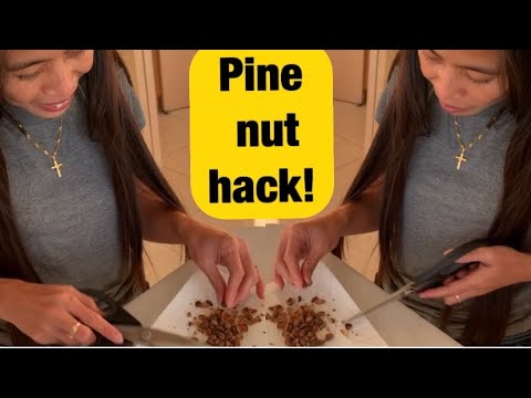 Best way to shell Pine Nuts || how to crack Pine Nuts