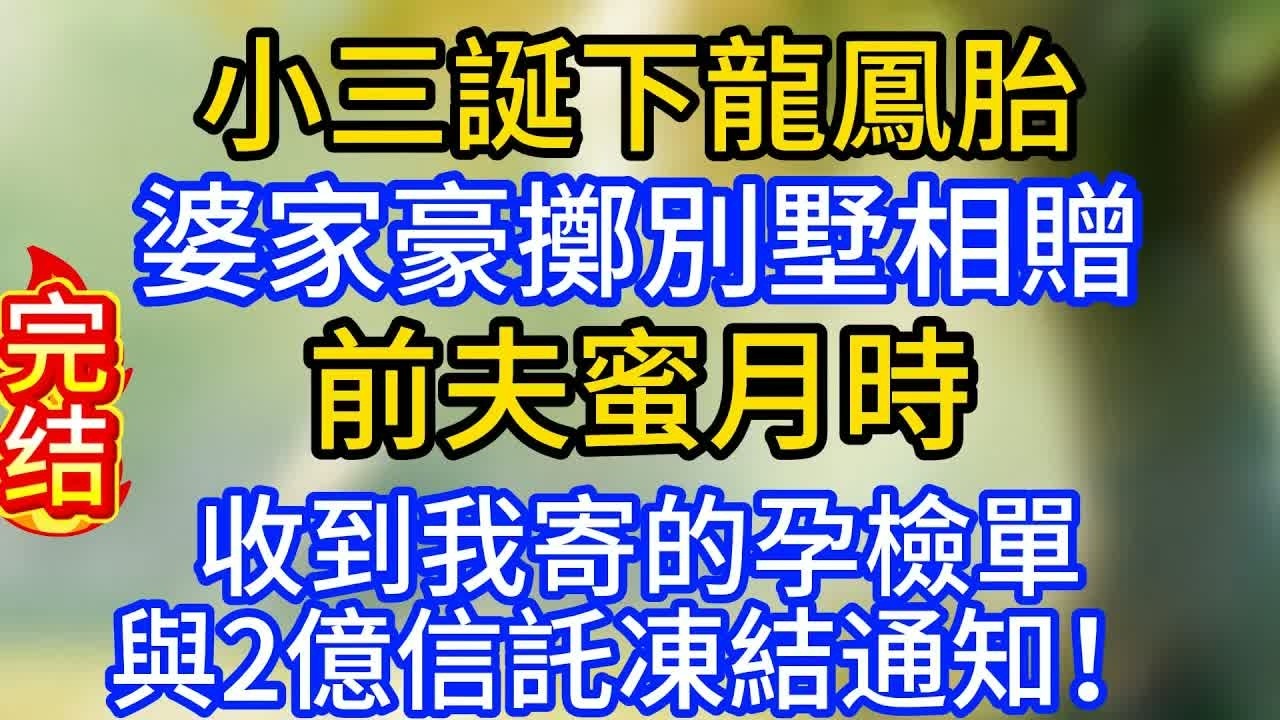 小三誕下龍鳳胎，婆家豪擲別墅相贈，前夫蜜月時，收到我寄的孕檢單與2億信託凍結通知！