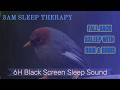 Fall Back Asleep with Rain & Birdsong | 6H Black Screen
