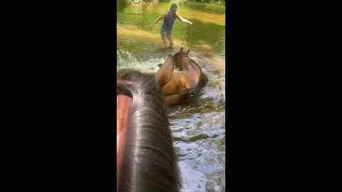 Bueno Lil Girl off property on trails