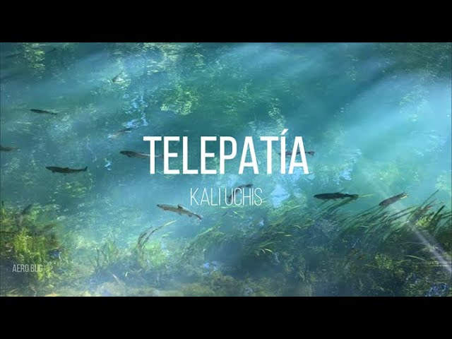 telepatía - kali uchis (slowed + reverb + lyrics/letra)