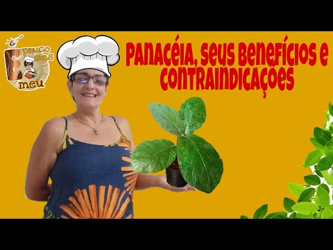 Vídeo: Casca De Carvalho - Decocção, Propriedades, Aplicação, Indicações, Contra-indicações