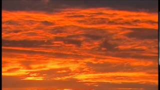 Dare -  Phoenix screenshot 1