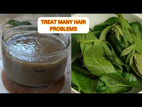 JINSI NINAVYOTUMIA MAJANI YA MPERA KUTIBU MATATIZO MENGI Y NYWELE TREAT HAIR PROBLEMS WIT GUAVA LEAF