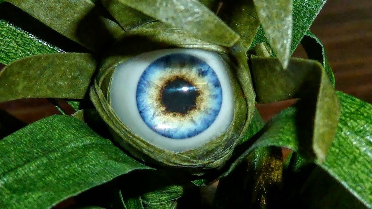 10 Plantas Tan Extrañas Que No Creerás Que Existen - YouTube