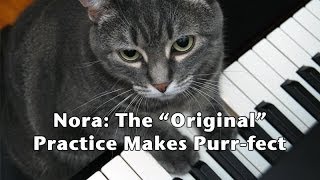 Nora: The 'Original' Practice Makes Purrfect