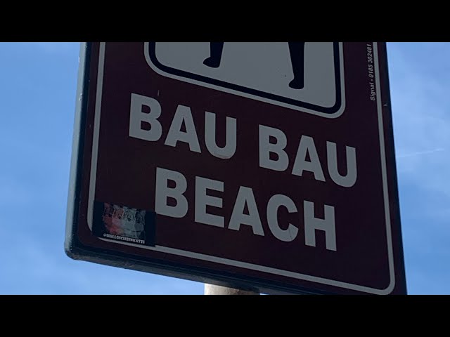 Bau Bau Beach, spiaggia libera dedicata agli animali da compagnia a Santa Margherita Ligure, Liguria