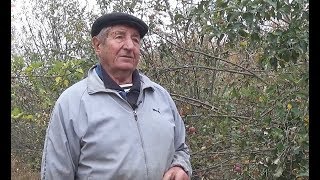 видео Овощи в Ставрополе, продажа овощи в Ставрополе, продам или куплю овощи на stavropol.avizinfo.ru - Бесплатные объявления Ставрополь