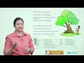 Ch 6 | Good Grade Books | English | Class 2 | Little by Little | For Children
