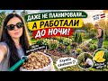 Приехали на вечер &mdash; а работали до ночи! Клумба наконец-то оживает | Латвия