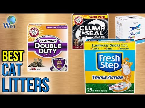 10-best-cat-litters-2017