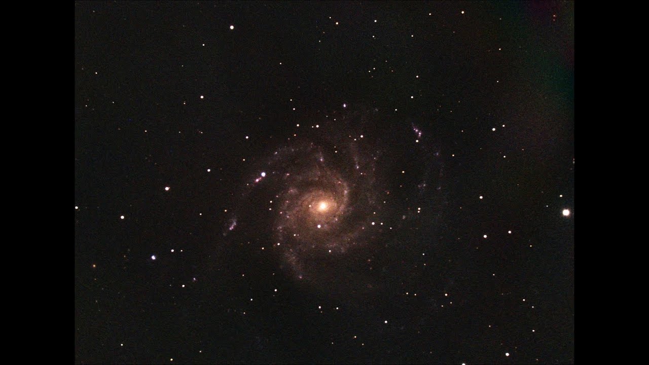 M101 Supernova Livestream! 