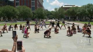 DTI Flash Mob 2017