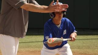 ProTips: Baseball and Softball Hitting Tips - How to Lay Down a Sacrifice Bunt