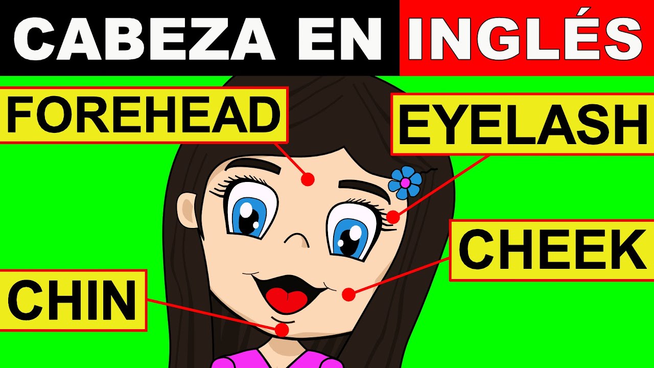 PARTES DEL CUERPO EN INGLÉS | LA CABEZA EN INGLÉS | APRENDE INGLÉS CON