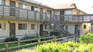 Sierra Gardens in Bellflower, CA - ForRent.com