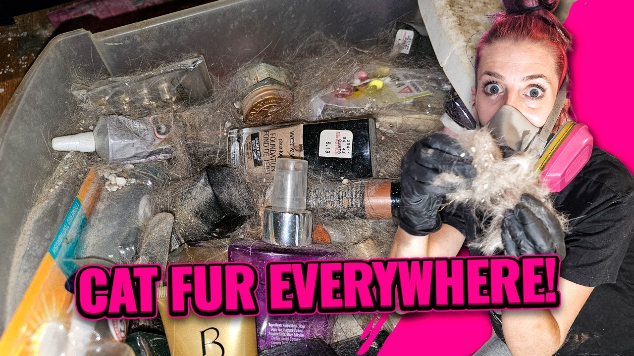 Depression Home Makeover: Cat Fur Everywhere—Extreme Clean!