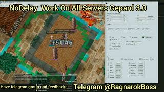 Famous No Delay |NDL| MVP Finding | esp hack | Maya purple Ragnarok. Bypass Gepard All on servers Net Worth