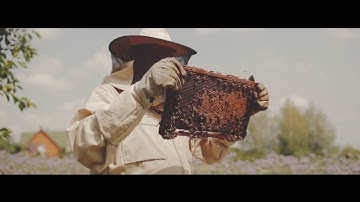 Amohive. The very beginning.