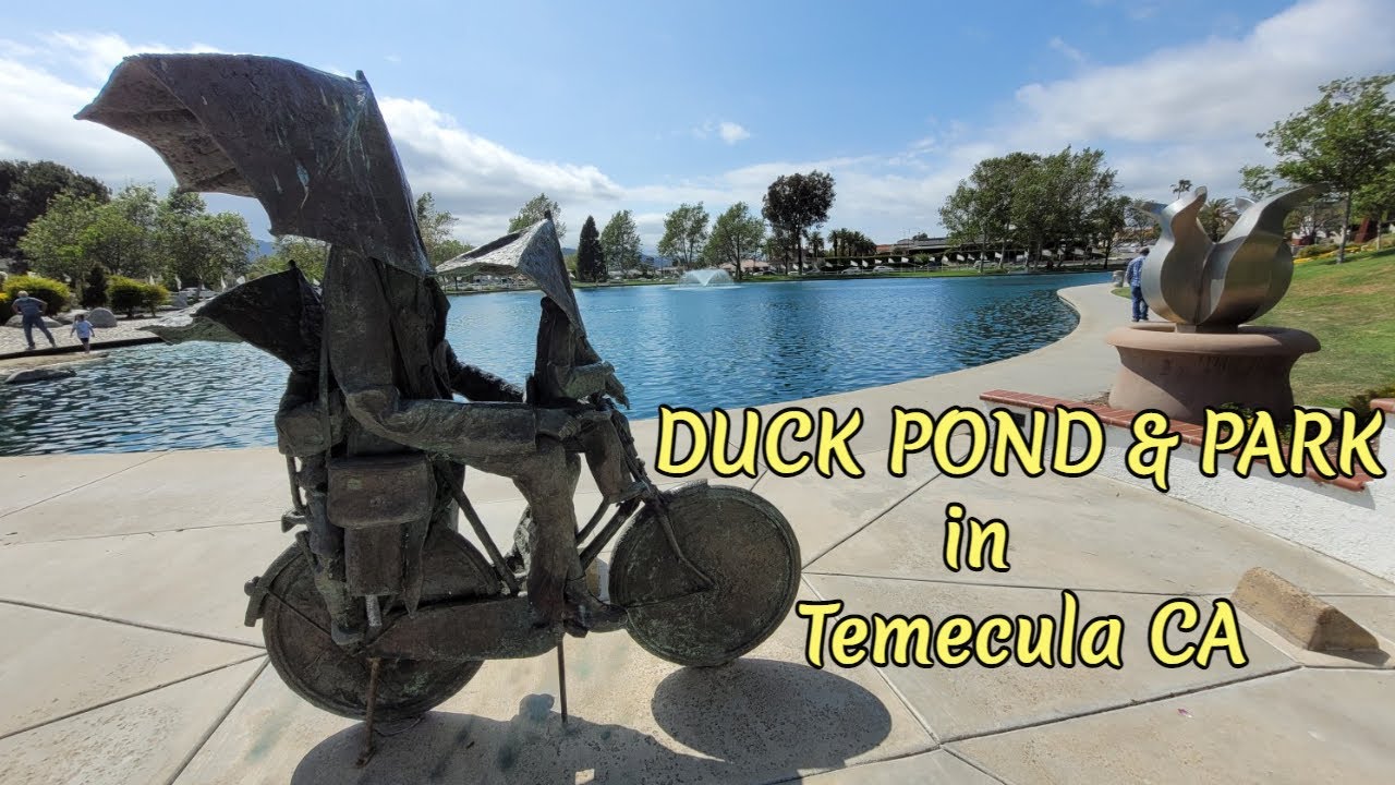 Temecula Duck Pond Park 2021 Temecula Duck Park Temecula Kids