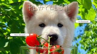 Playlist 🍅🌿🌊 와 너무 시원하다.. 선선한 그늘에서 듣는 여름 보사노바ㅣ카페 BGM, 매장음악, 노동요, Work music for officeㅣHay G screenshot 4