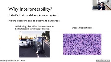 Interpretable Deep Learning - Deep Learning in Life Sciences - Lecture 05 (Spring 2021)