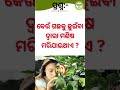 odia dhaga dhamali||online quiz odia||viral gk odisha ||treading video gk odisha #gk #quiz #odiyagkn
