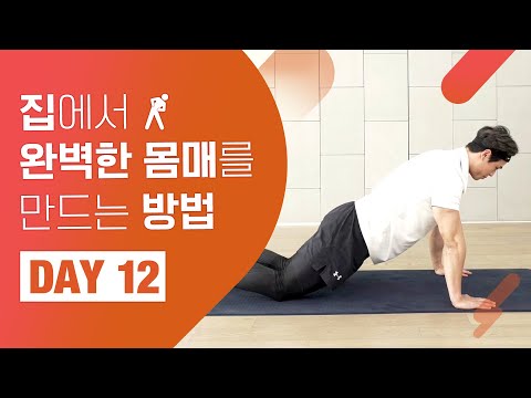 [홈트 <strong>DAY</strong> 12] 집에서 완벽한 몸매를 만드는 <strong>방법</strong>! &amp;quot;칼로리 폭발 운동 쉽게 배워보자~!&amp;quot; ㅣ 야핏크루 정의성