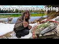 Surviving Spring in the Rockies Catch &amp; Cook