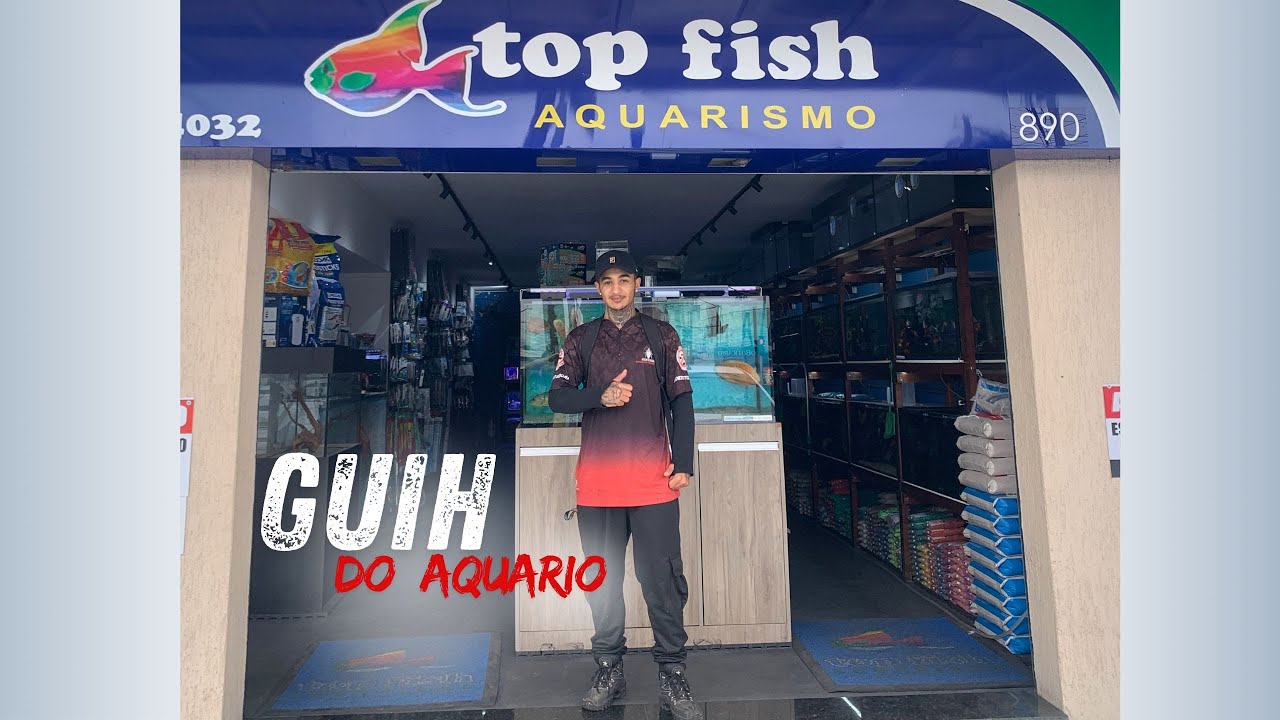 Loja Top fish