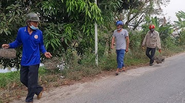 Bẫy Chuột Trên Đường Quê Đầu Năm Trúng Bầy Cống Nhum Khủng.Góc Làng Quê#490