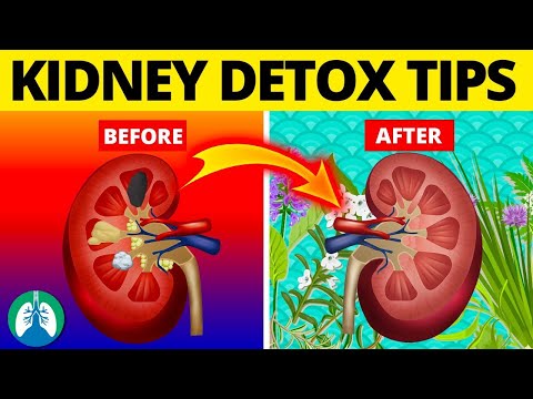 10 Ways to Detox and Cleanse Your Kidneys Naturally | Amazing Top 10